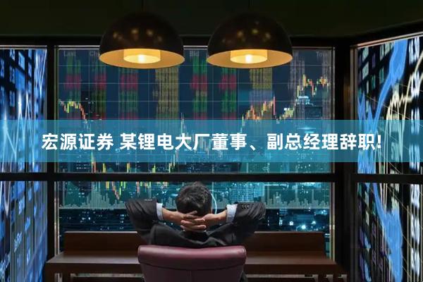 宏源证券 某锂电大厂董事、副总经理辞职!